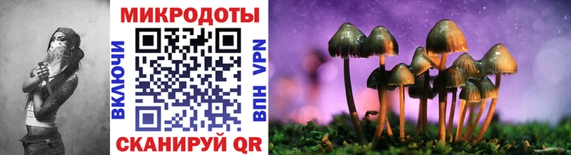 Псилоцибиновые грибы Psilocybine cubensis  Краснокаменск 